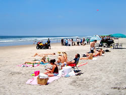 Come to Rosarito Beach